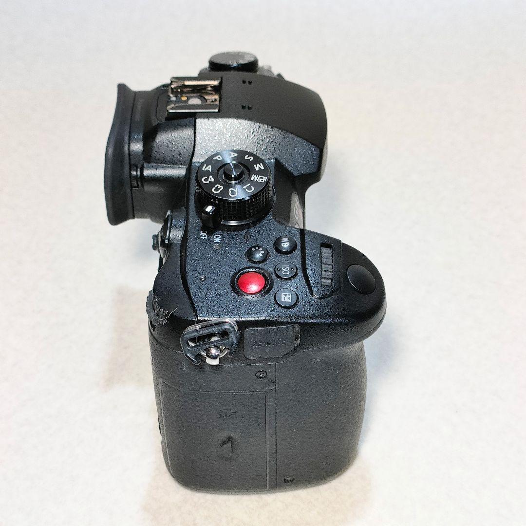 LUMIX GH5 II ミラーレスカメラ #3002