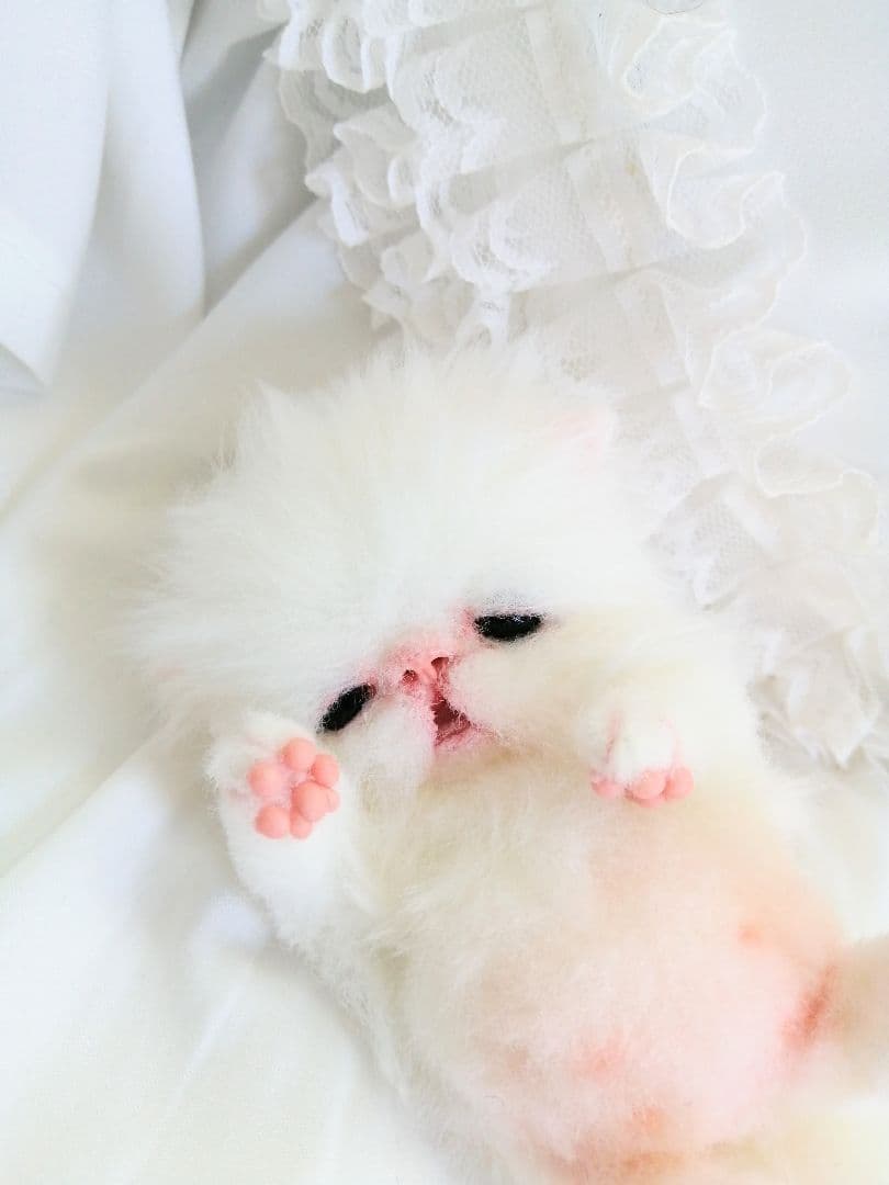 おしゃぶり♡お腹ぽっこり♡子猫ちゃん♡アートドール♡ぬいぐるみ♡スタイ♡
