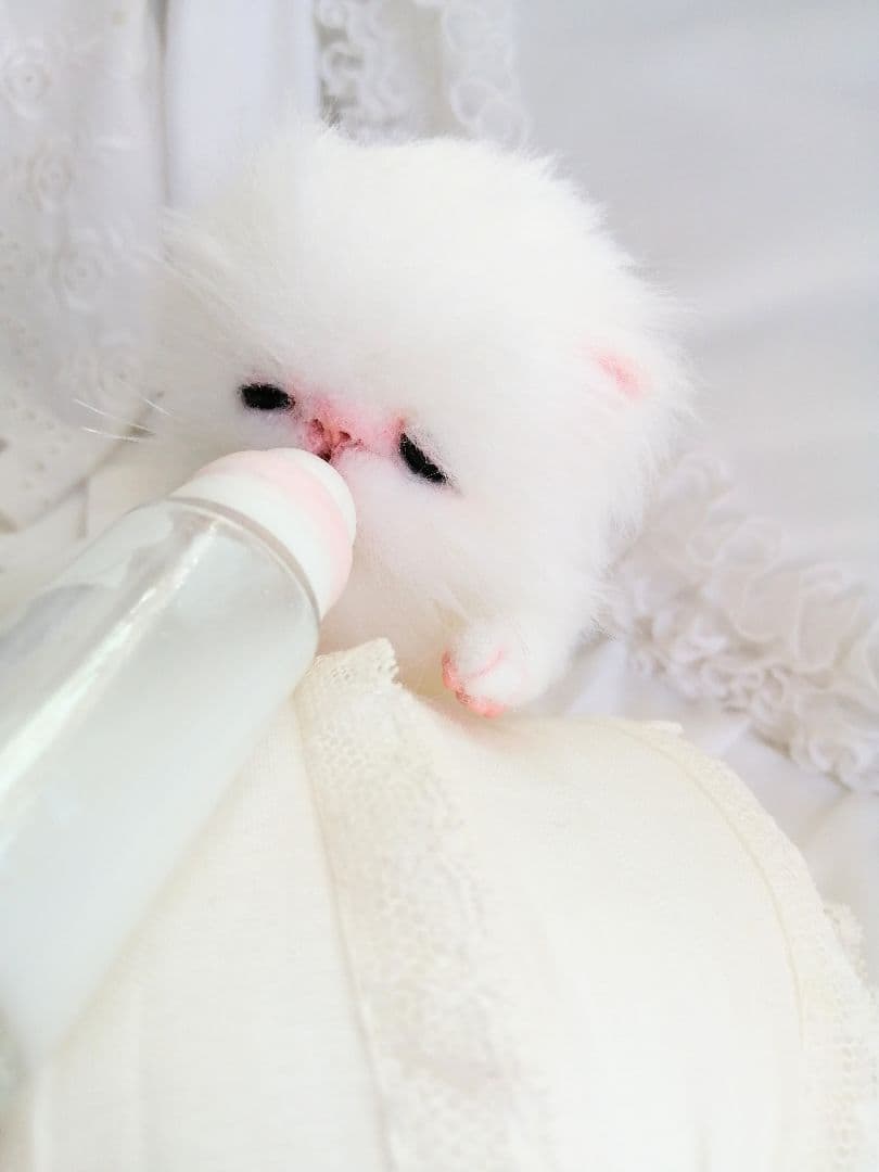 おしゃぶり♡お腹ぽっこり♡子猫ちゃん♡アートドール♡ぬいぐるみ♡スタイ♡