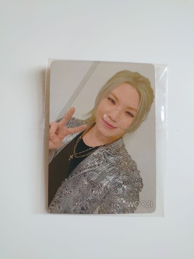 【WOOZI•ウジ】SEVENTEEN　トレカ　ポーチ　ラバーバンド　バインダー