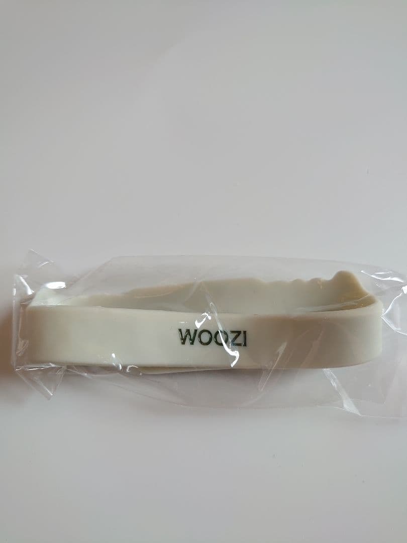 【WOOZI•ウジ】SEVENTEEN　トレカ　ポーチ　ラバーバンド　バインダー
