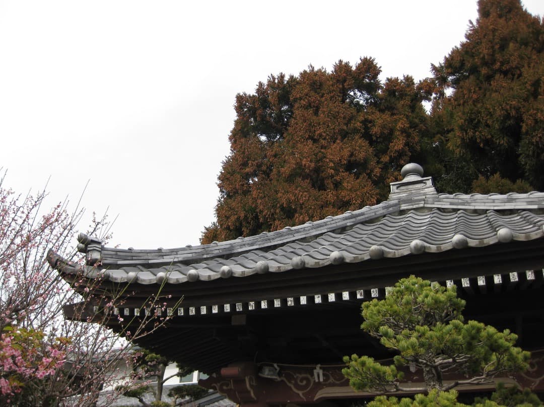 実写美⭕️良品【動作確認済み】 Canon IXY DIGITAL 25 IS