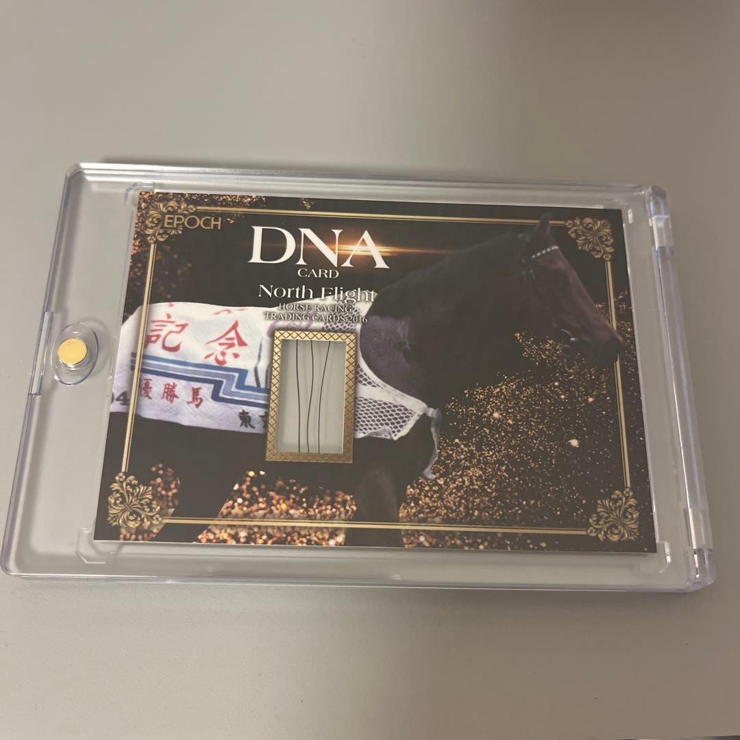 エポック　ホースレーシング2016ノースフライトDNAカード50枚限定