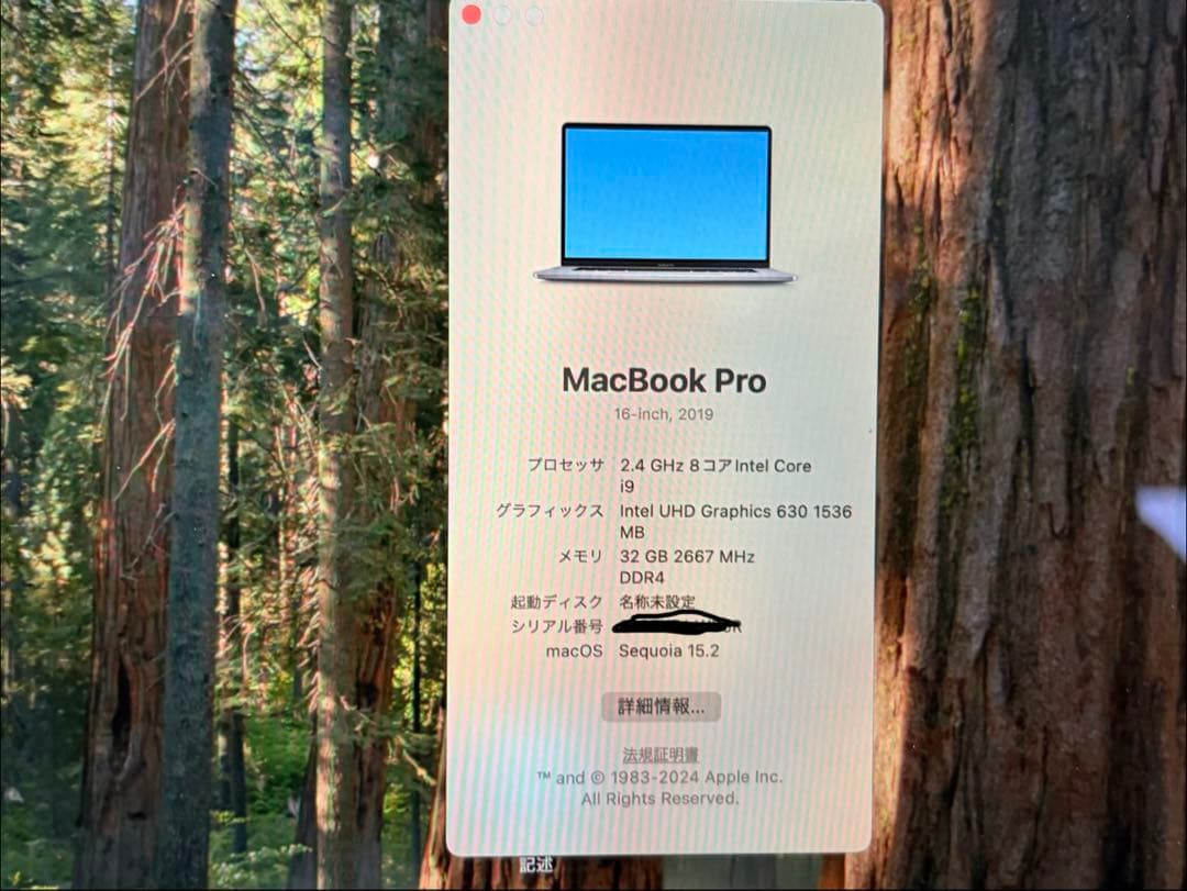 Apple MacBook Pro i9 1TB 32GBシルバー 本体