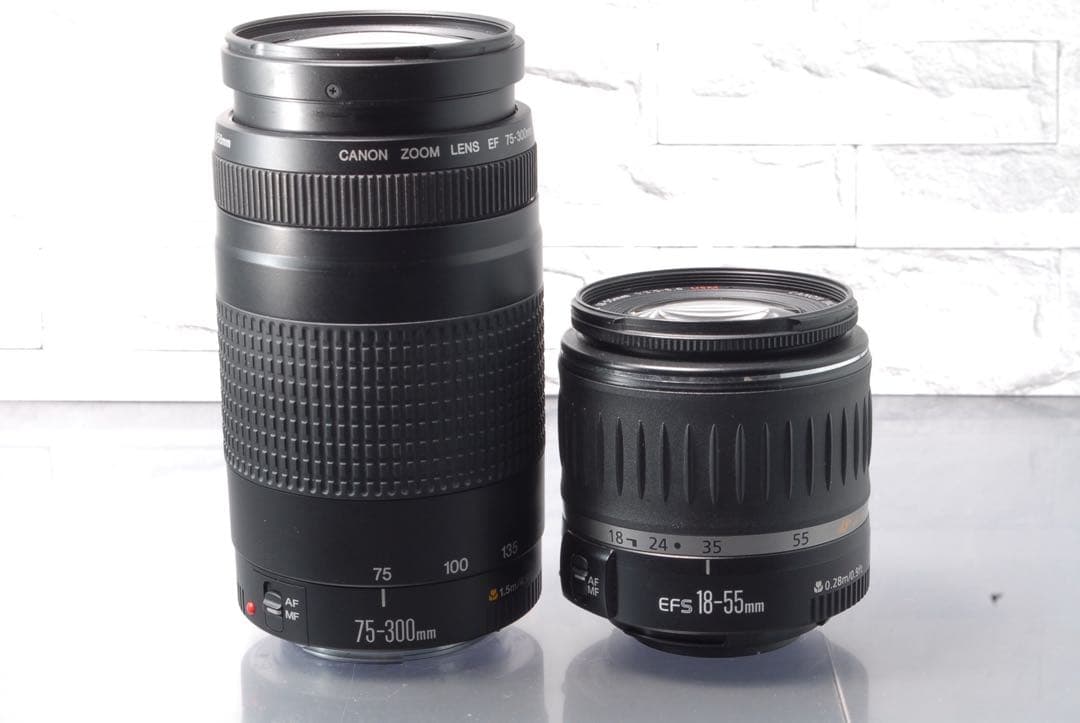 【限定値下げ中】 Canon EOS 80D ダブルレンズキット Wi-Fi搭載