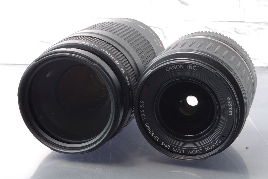 【限定値下げ中】 Canon EOS 80D ダブルレンズキット Wi-Fi搭載