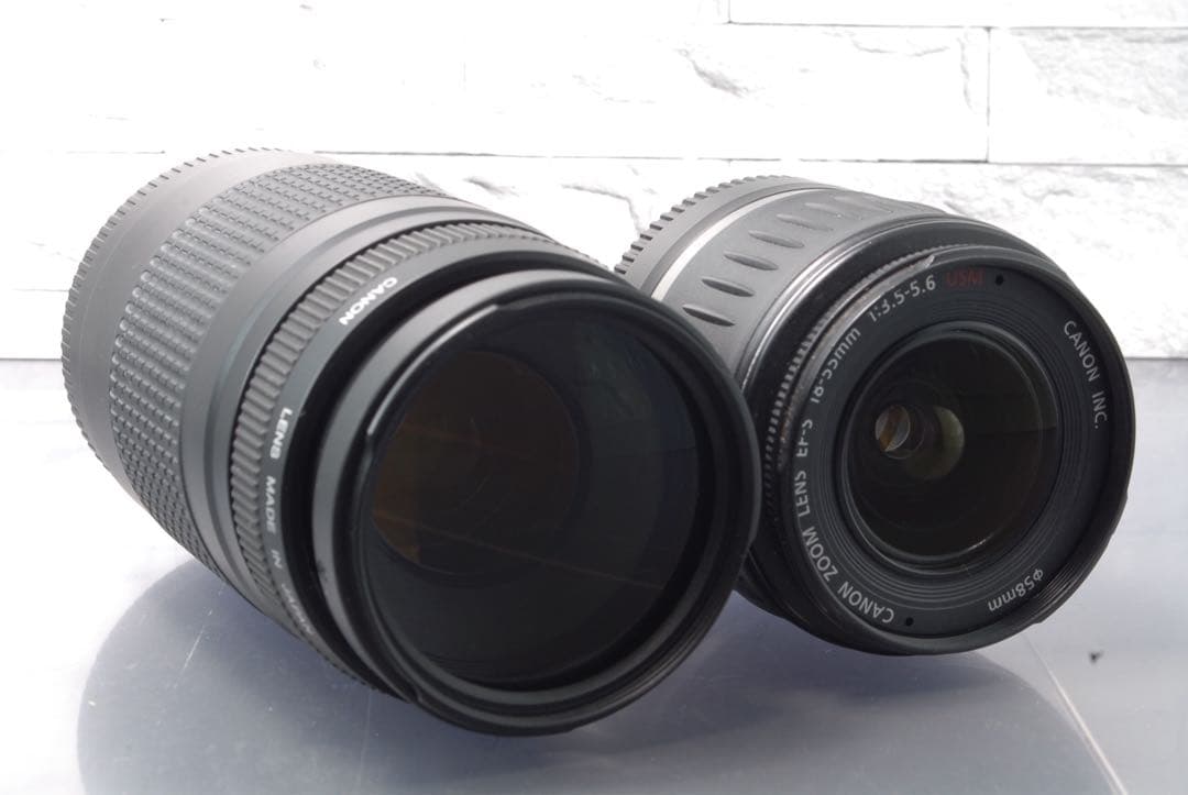 【限定値下げ中】 Canon EOS 80D ダブルレンズキット Wi-Fi搭載