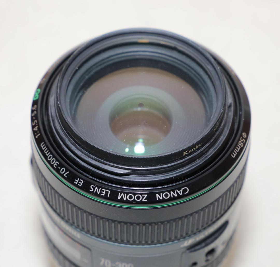 【訳あり】 EF 70-300mm F4.5-5.6 DO IS USM