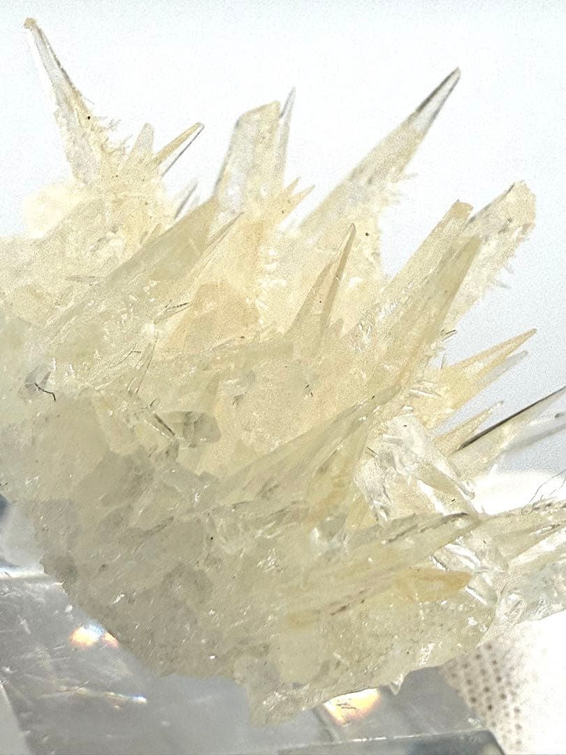 QUam.様 リクエスト 2点 まとめ商品