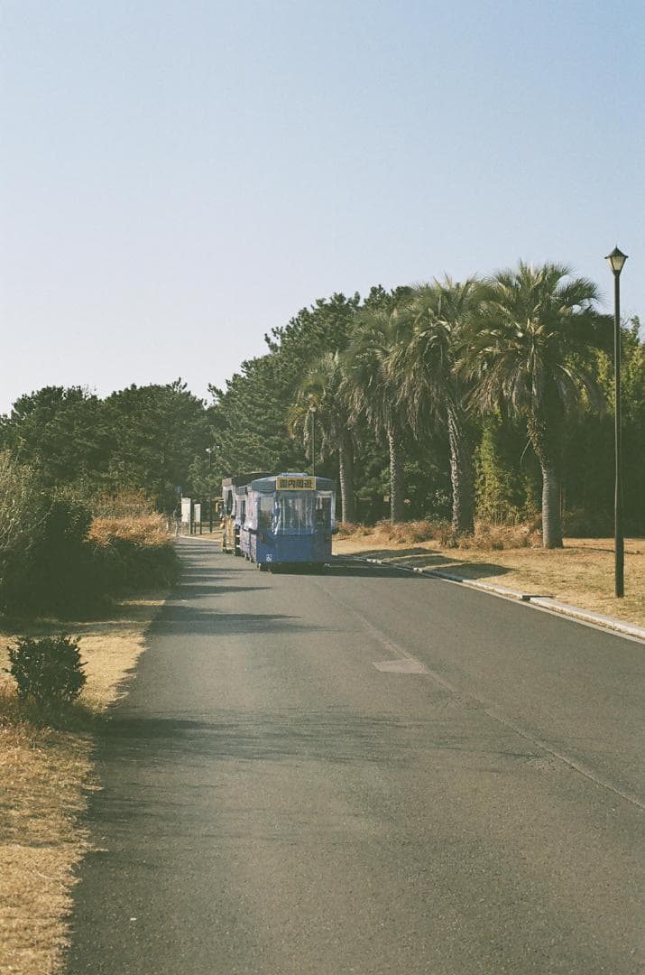 オリンパス OM-1 G.ZUIKO MC AUTO-S 50mm F1.4