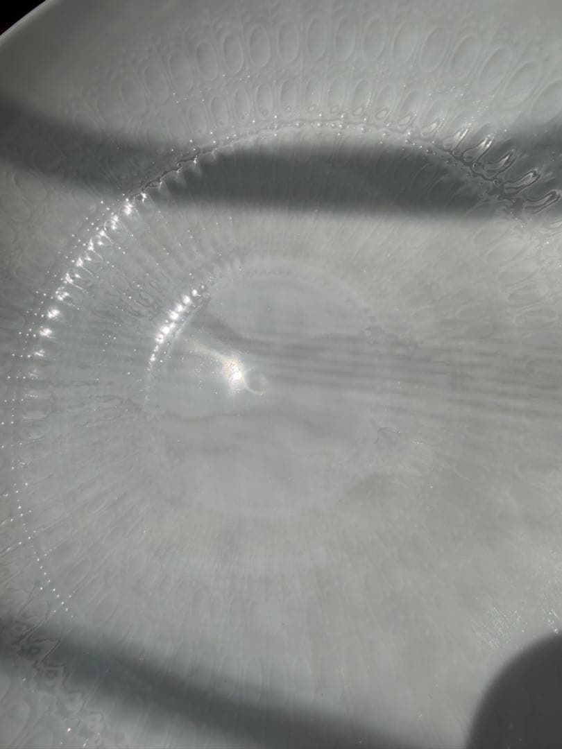 100周年記念 ローゼンタール　スタジオライン 直径約21cmの中皿２枚セット