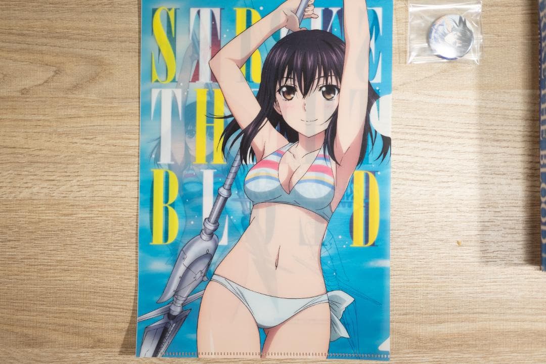 【レア本】ストライク・ザ・ブラッド ビジュアルコレクション（上）＋その他まとめ売