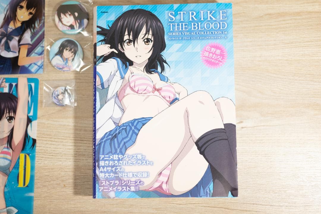 【レア本】ストライク・ザ・ブラッド ビジュアルコレクション（上）＋その他まとめ売