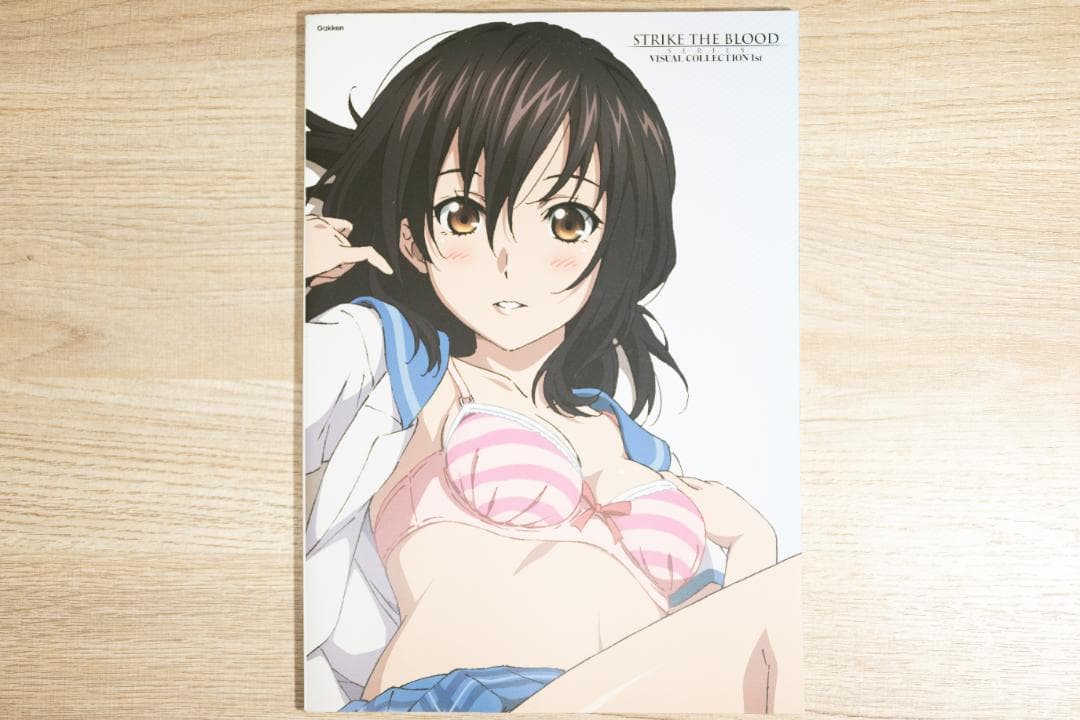 【レア本】ストライク・ザ・ブラッド ビジュアルコレクション（上）＋その他まとめ売