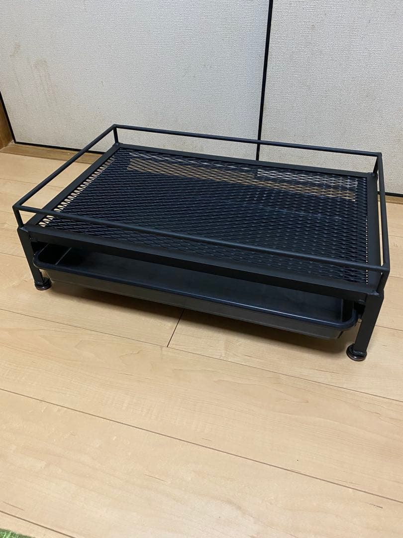 アイアンシェルフ　アイアンラック　アガベ　多肉植物