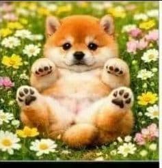 クロム様パネル生地ご確認ページ