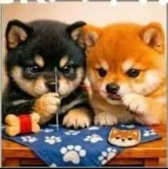 クロム様パネル生地ご確認ページ