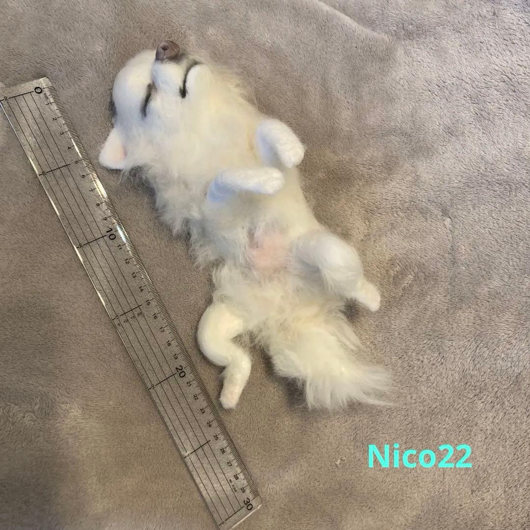 羊毛フェルト　チワワ　寝落ちわわ
