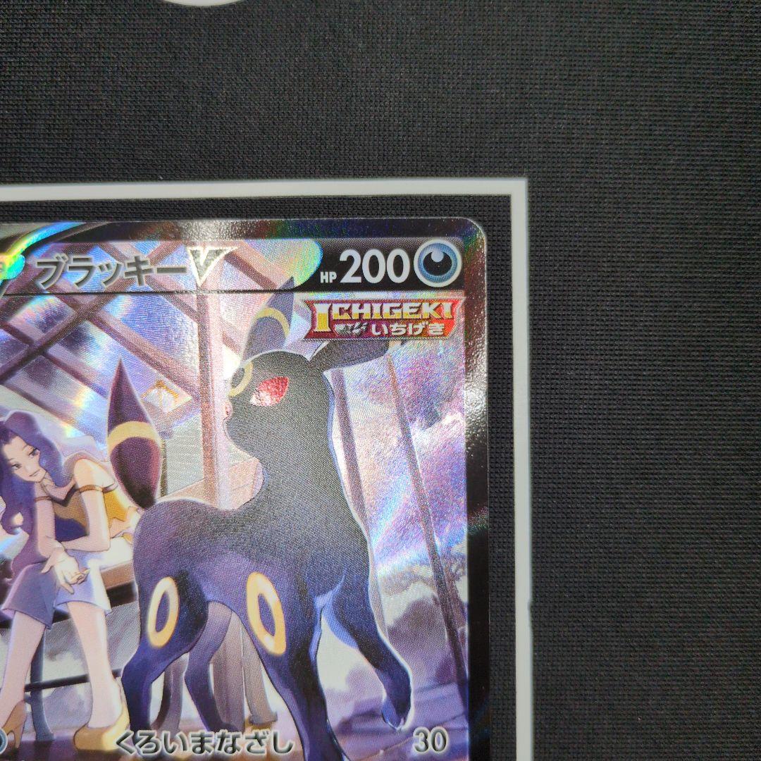 ブラッキー　nagaba promo　ブラッキーV