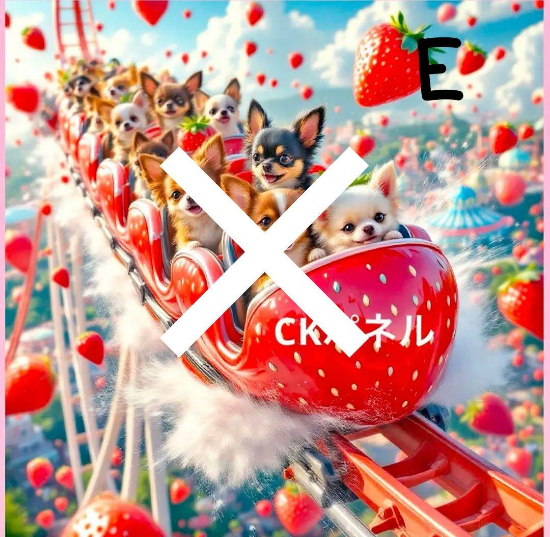 オーダーページ　チワワ　ジェットコースター　レアパネル　1/26