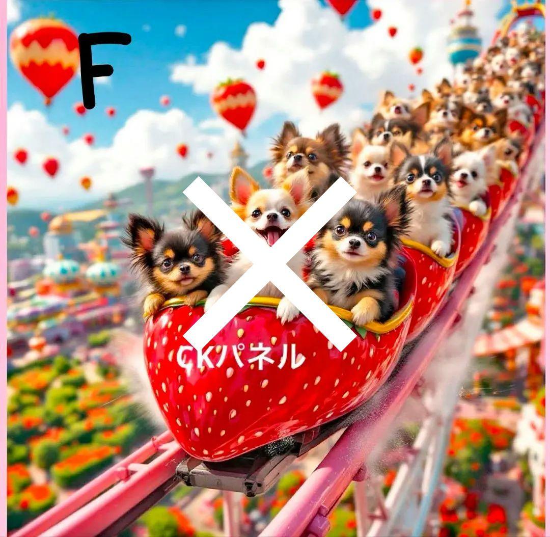 オーダーページ　チワワ　ジェットコースター　レアパネル　1/26