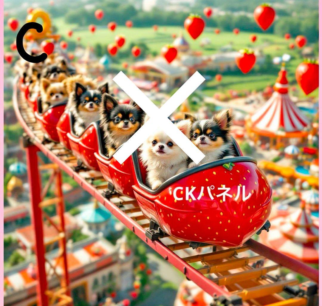 オーダーページ　チワワ　ジェットコースター　レアパネル　1/26