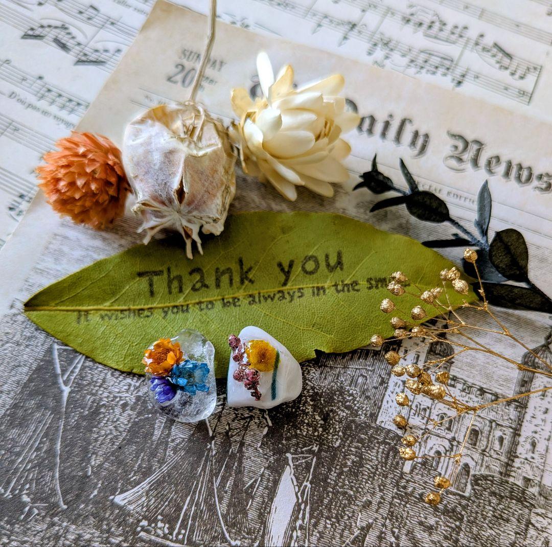 はたはたページ①