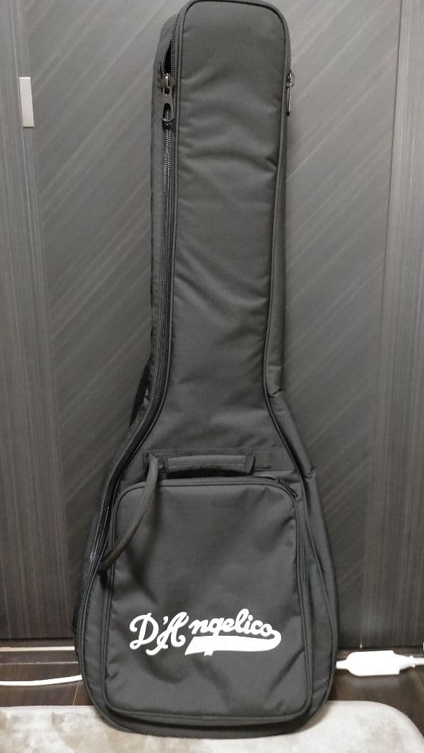 D'Angelico ディアンジェリコ Premier Mini ミニ セミアコ