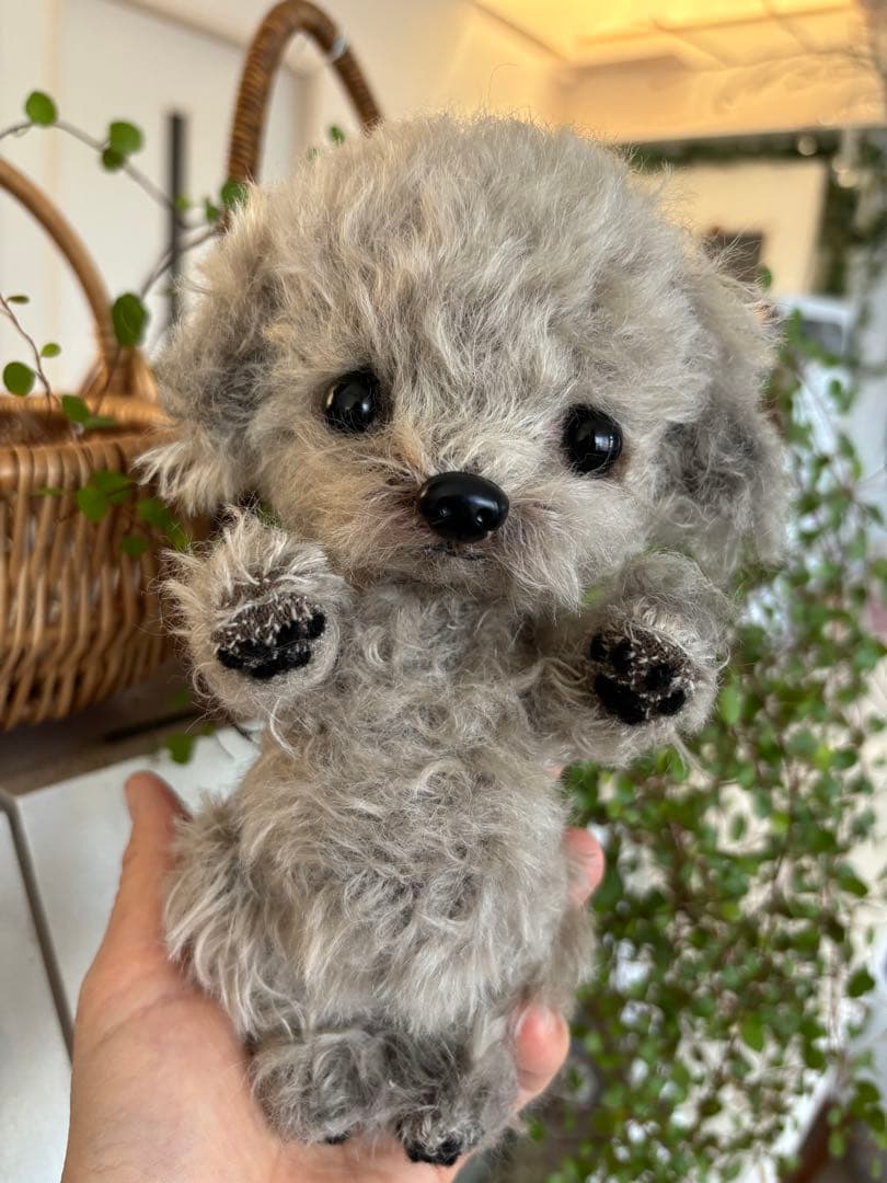 テディプードル　テディわんこ　トイプードル マルプー　ハンドメイド　ぬいぐるみ