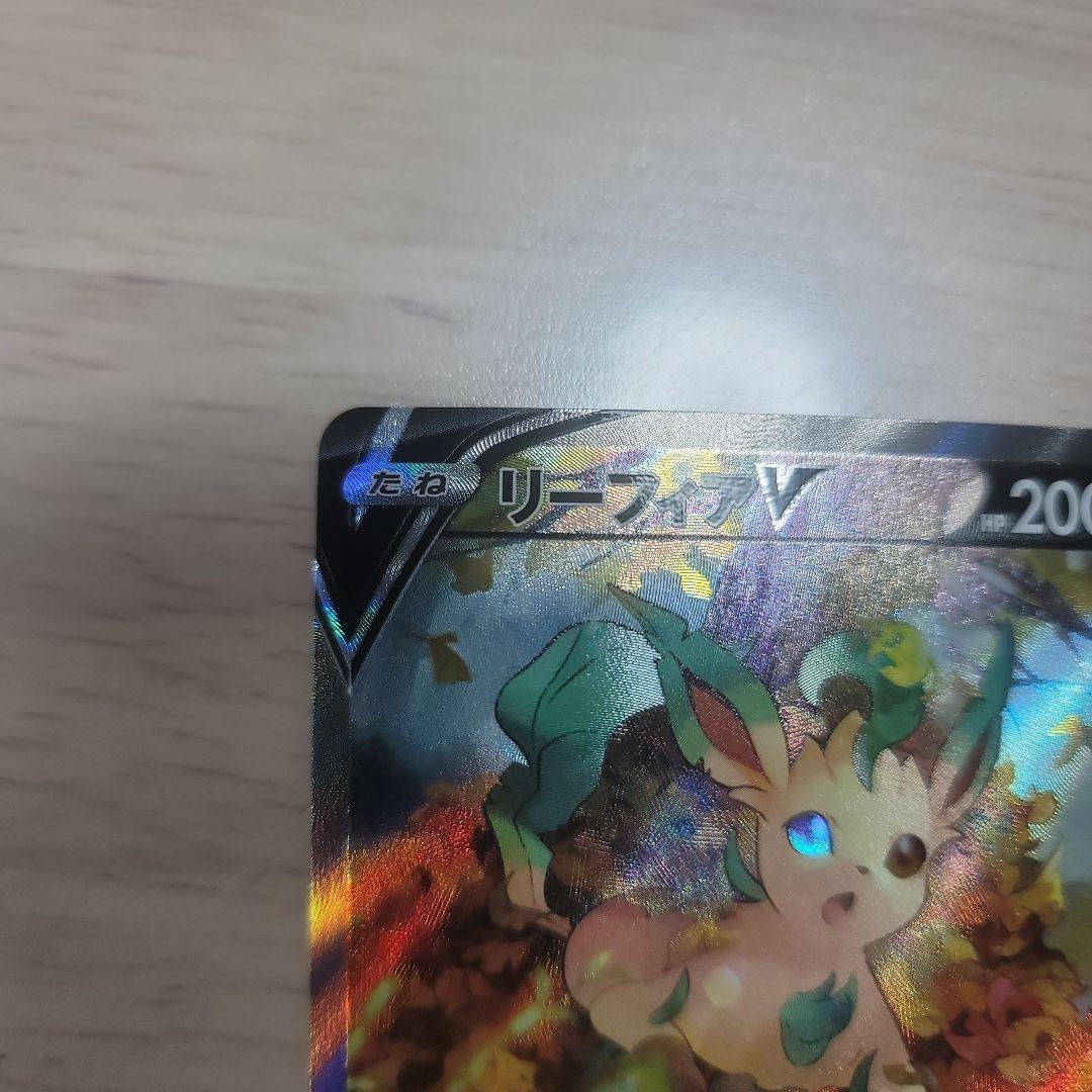 リーフィア V SA