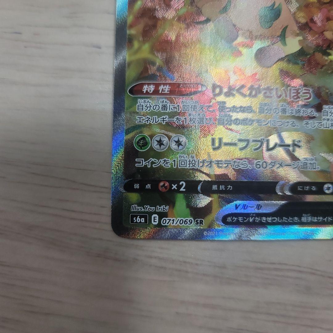 リーフィア V SA