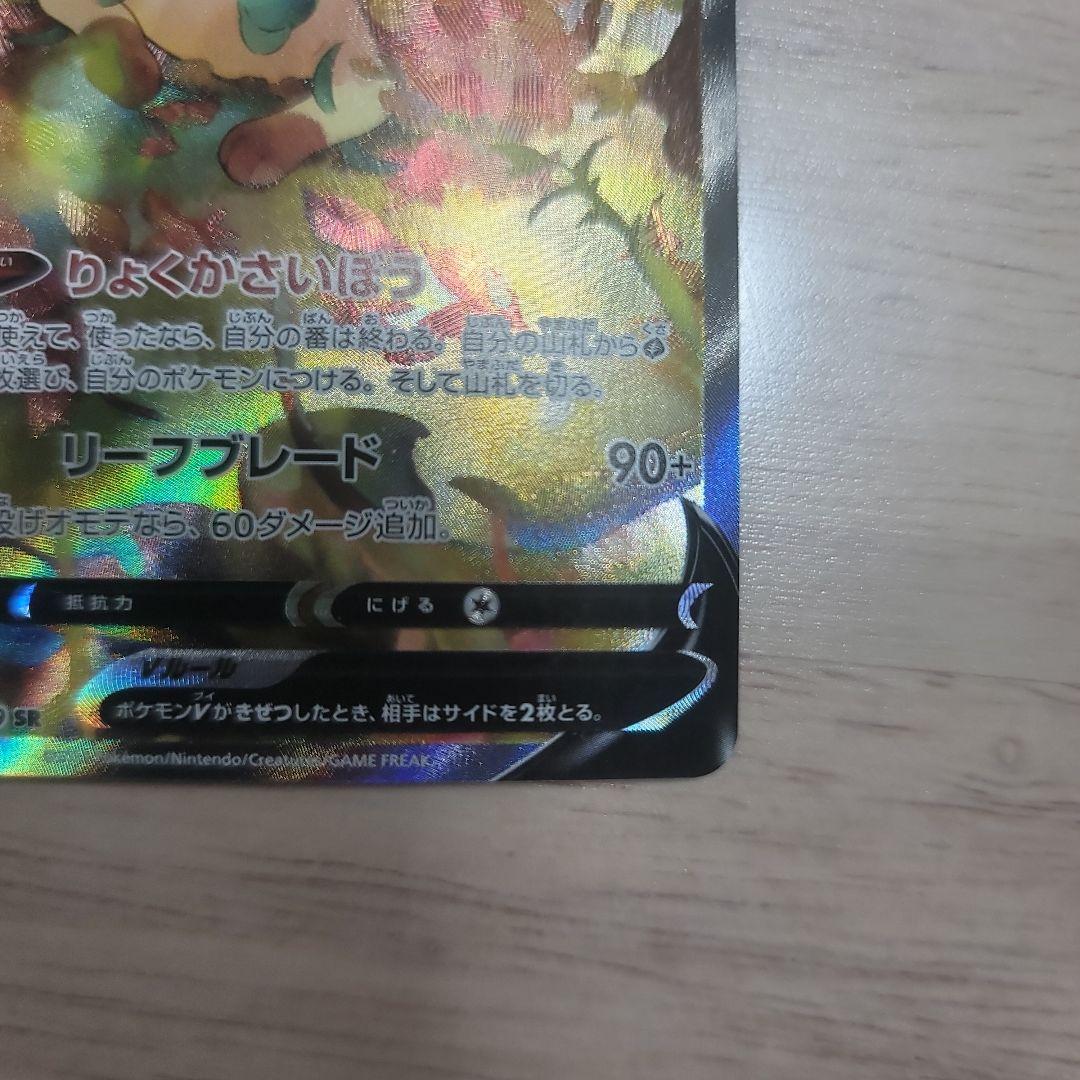 リーフィア V SA