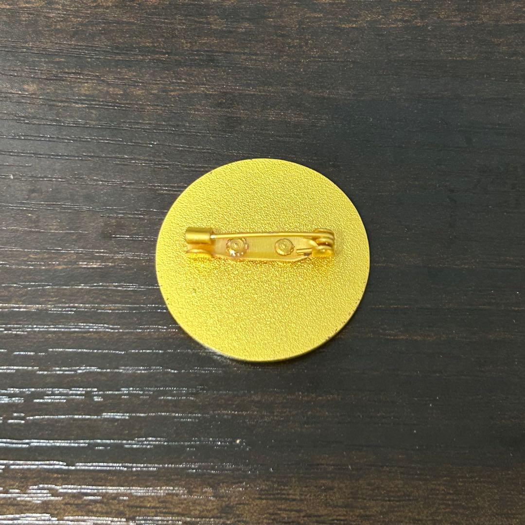 【非売品・希少】大阪関西万博　キルギス共和国　ピンバッジ ほか