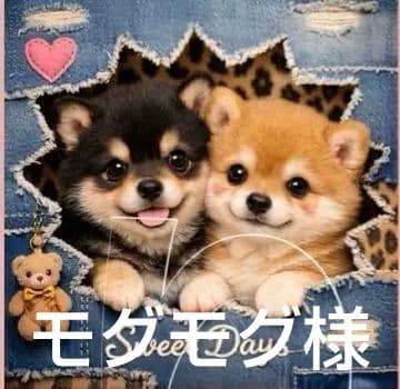 オーダーページ　ハンカチ　88 デニムわんこ柄　1/15　りんご様P