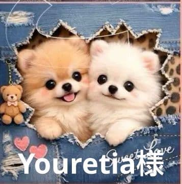 オーダーページ　ハンカチ　88 デニムわんこ柄　1/15　りんご様P