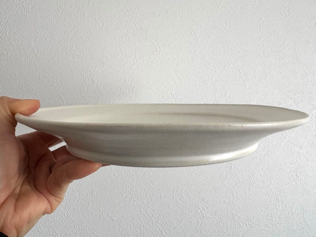 河合竜彦 大皿 平皿 25cm