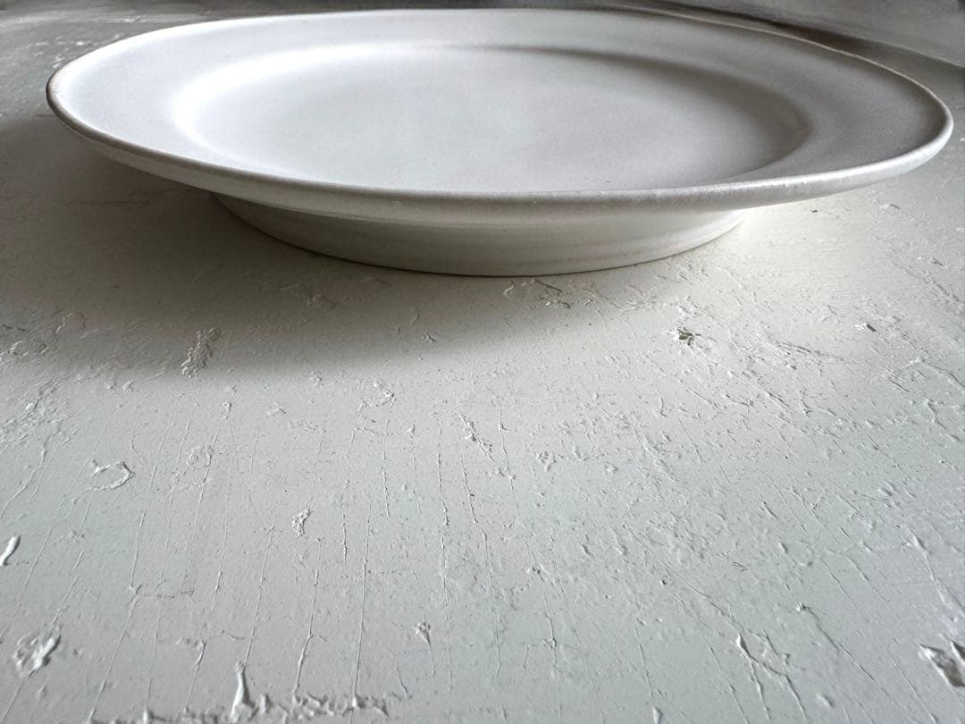 河合竜彦 大皿 平皿 25cm