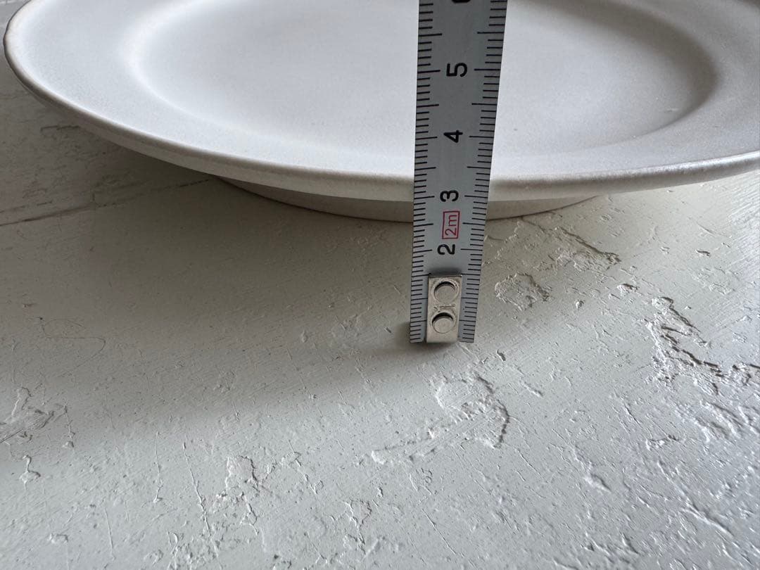 河合竜彦 大皿 平皿 25cm