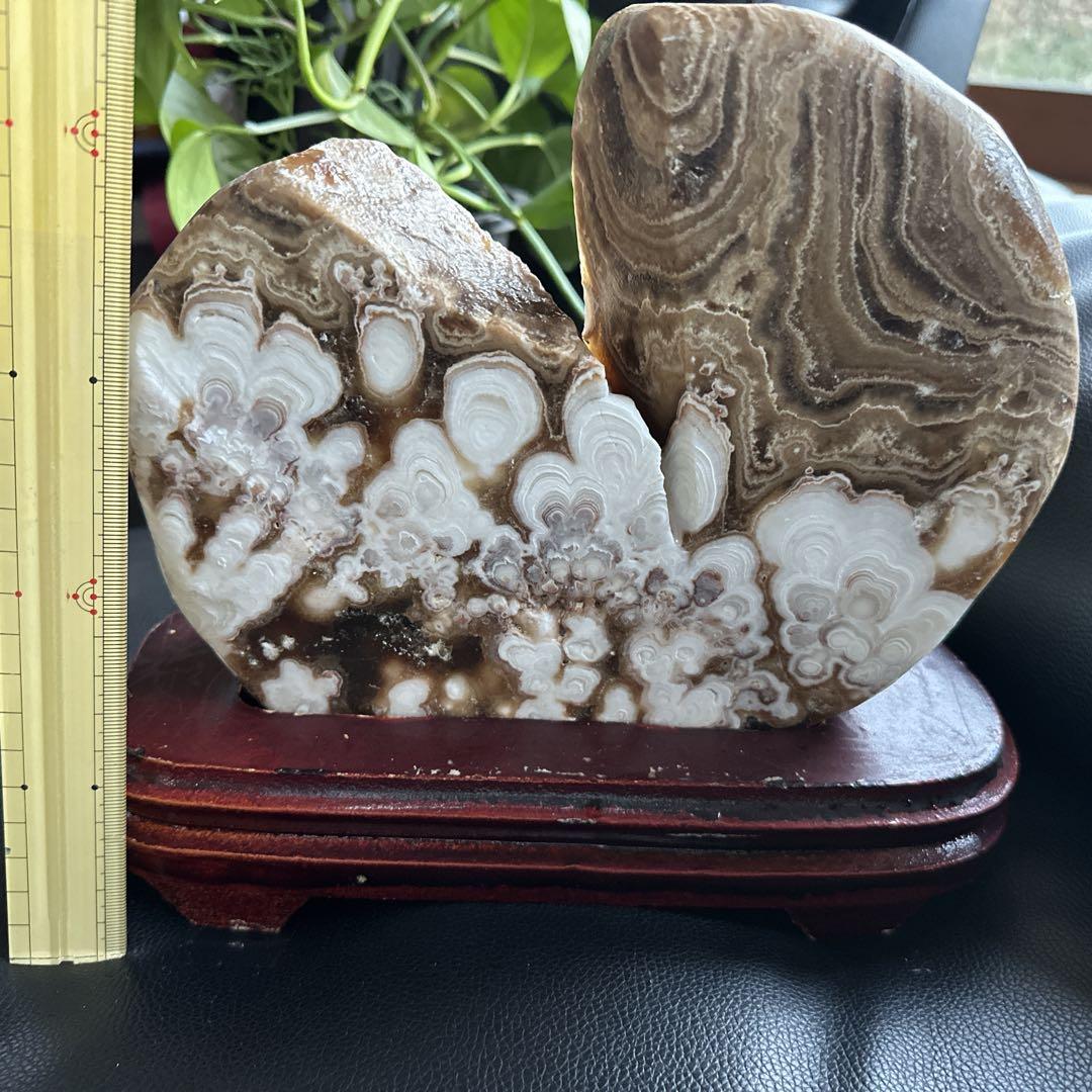 珪化木　木化石　パワーストーン　 天然石　重さ2kg弱　インテリア　観賞　置物