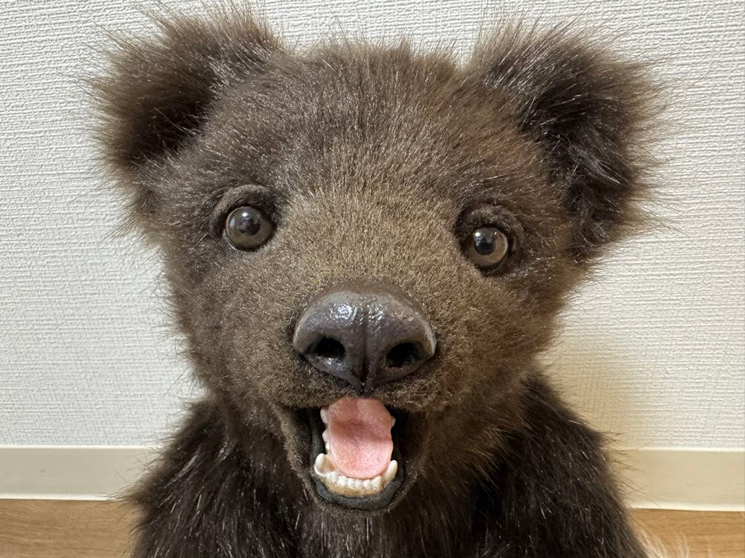 海外作家様作　テディベア　小熊　アートドール