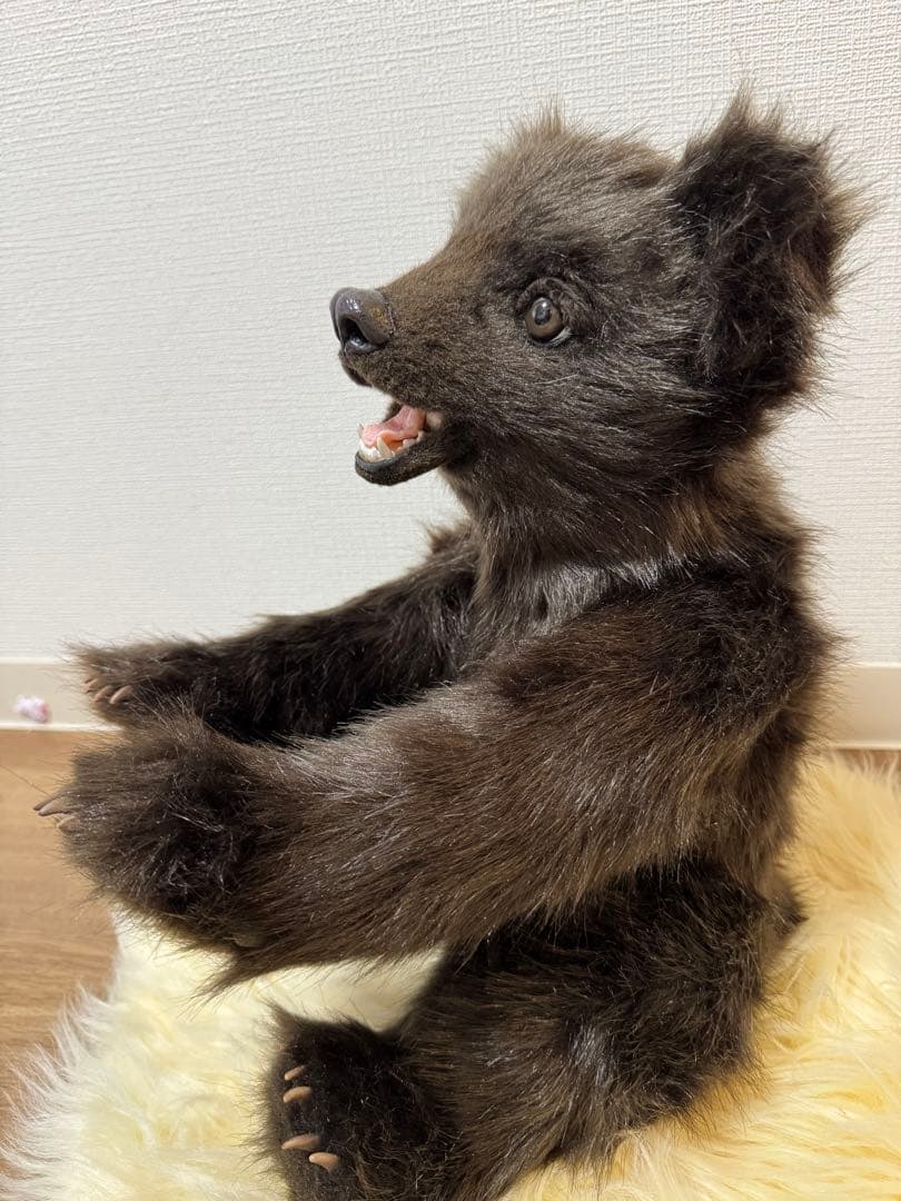 海外作家様作　テディベア　小熊　アートドール