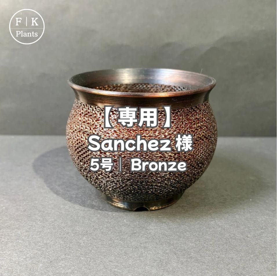 【専用】Sanchez 様 ｜5号（Bronze）2点