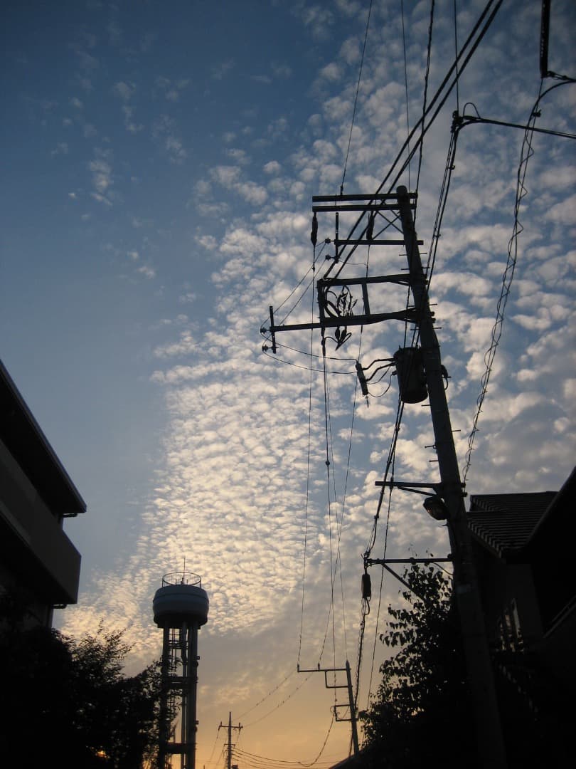 Canon キヤノン IXY DIGITAL 60 動作確認済