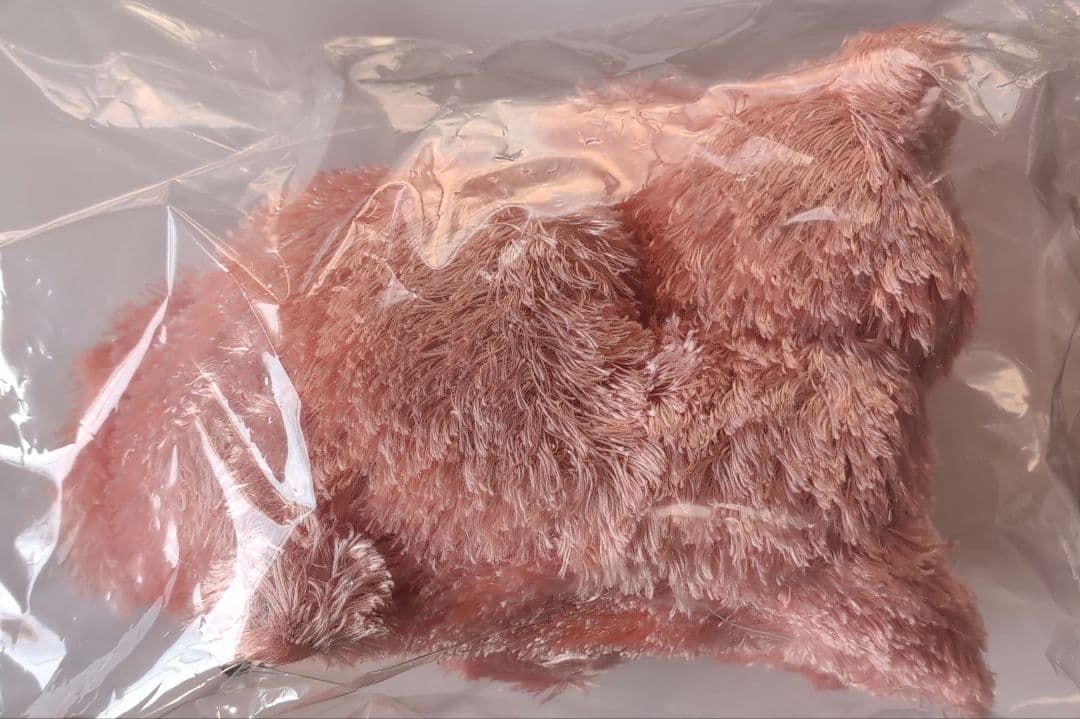 米津玄師さん リイシューねこちゃんPINK