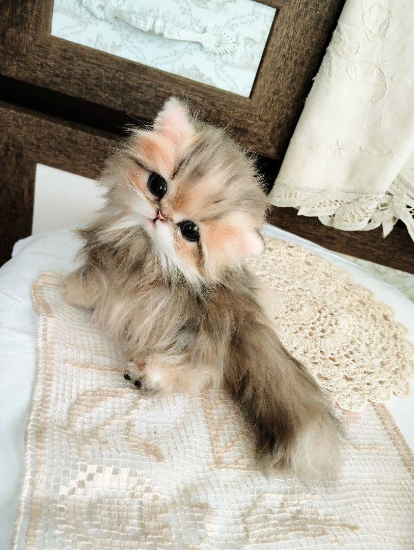 チンチラゴールデン♡子猫のふわりちゃん♡アートドール♡ぬいぐるみ♡