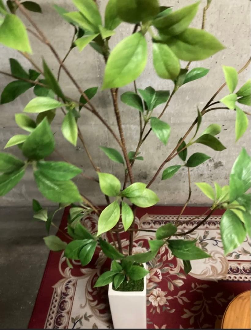 光触媒　人工観葉植物　ウォールグリーン　フェイクグリーン　クロモジリーフ花器付@