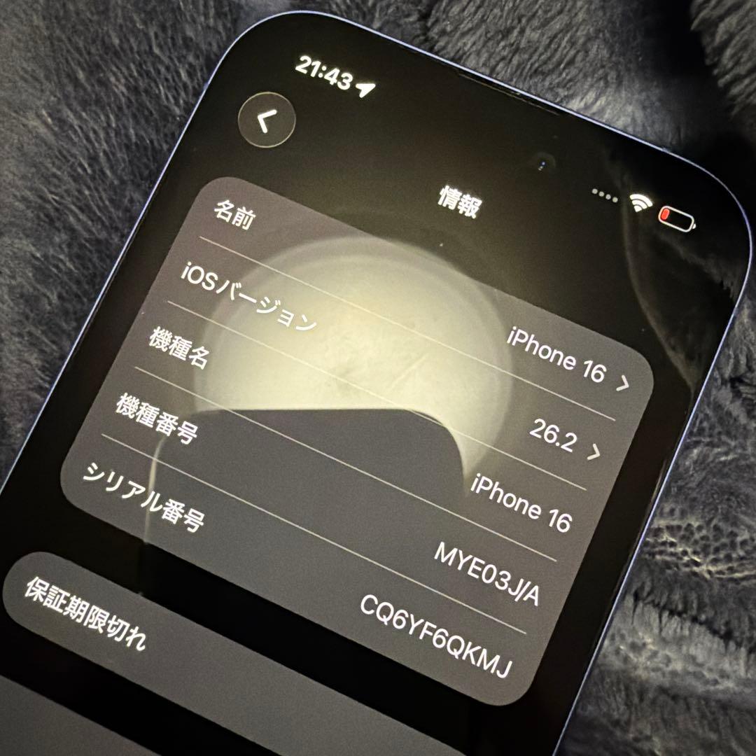 r*o様 Apple iPhone 16 ブルー 256GB 本体とケース付き