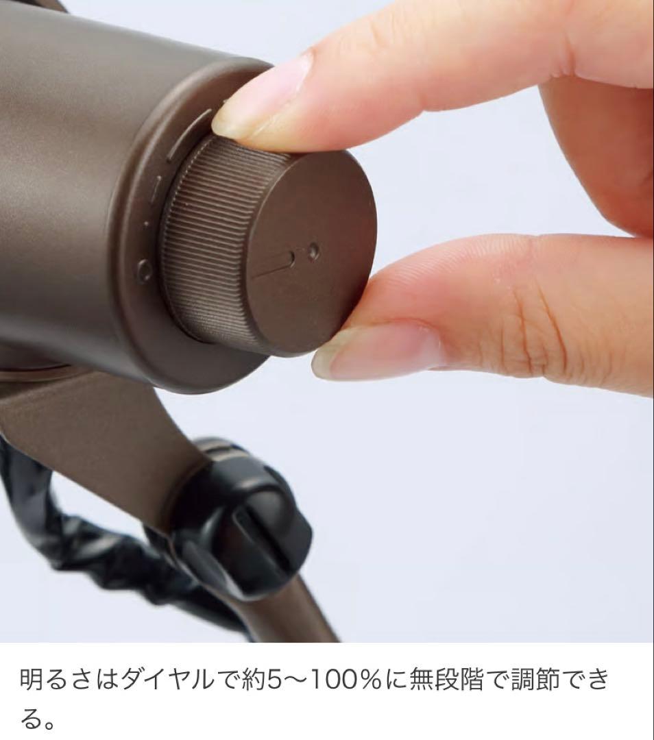 SWAN エグザーム LEDフロアランプ ブロンズ