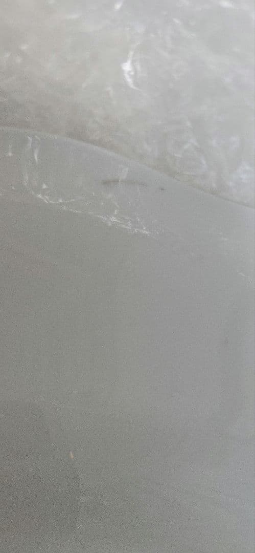 未使用近、Lindnerリンドナー大皿プレート2枚組み