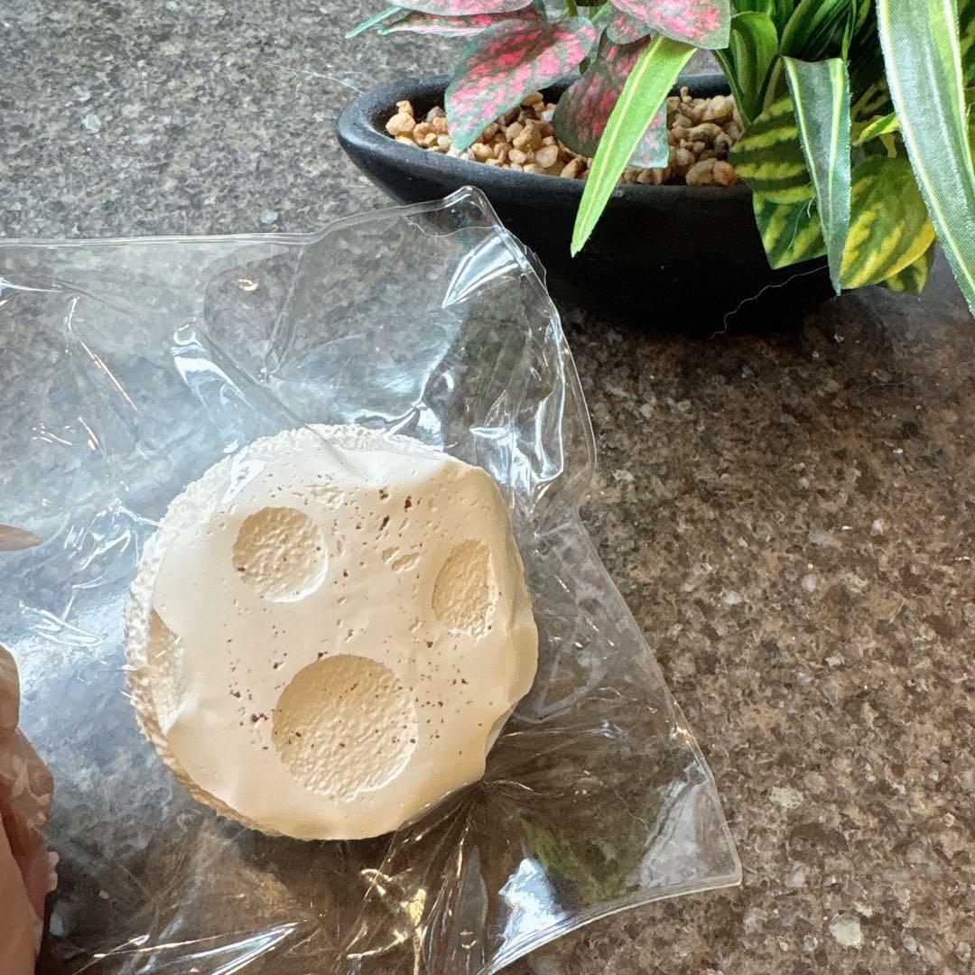 【大人気商品】 第1弾 春日幼稚園 2399バラ売り可 まとめ割あり